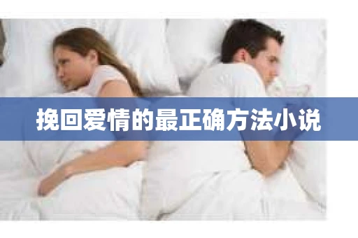 挽回爱情的最正确方法小说