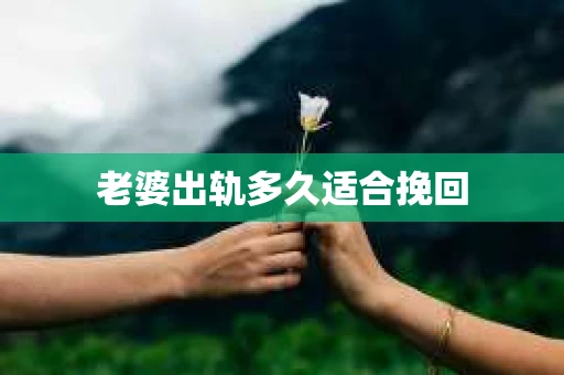 老婆出轨多久适合挽回