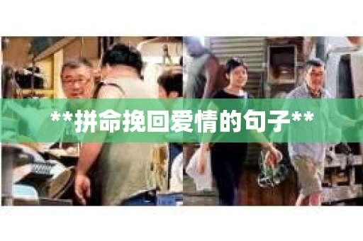 **拼命挽回爱情的句子**