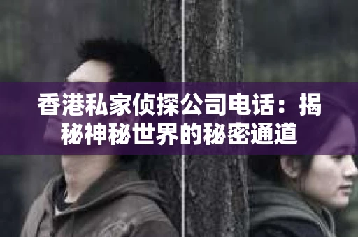 香港私家侦探公司电话：揭秘神秘世界的秘密通道