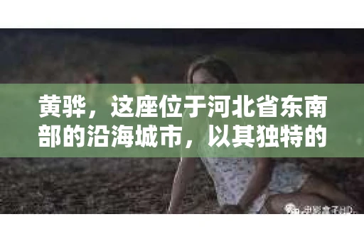黄骅，这座位于河北省东南部的沿海城市，以其独特的地理位置和丰富的历史文化而闻名。然而，在这座城市中，还有一群人，他们以另一种方式默默守护着社会的公平与正义——私家侦探。今天，我们就来聊聊黄骅的私家侦探，看看他们是如何在这个城市中发挥作用的。