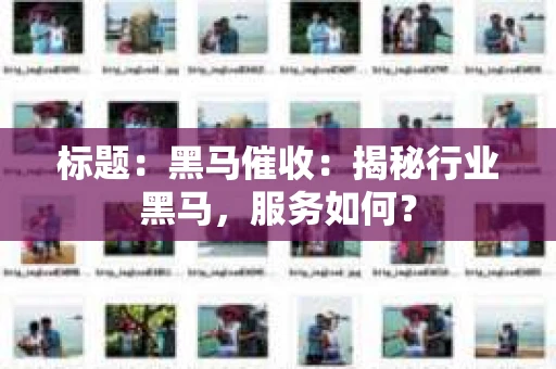 标题：黑马催收：揭秘行业黑马，服务如何？