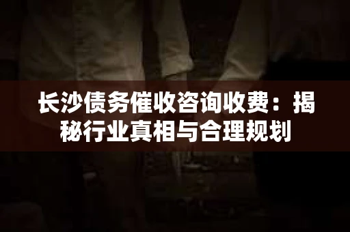 长沙债务催收咨询收费：揭秘行业真相与合理规划
