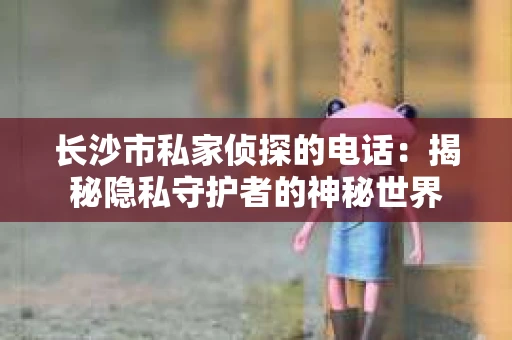 长沙市私家侦探的电话：揭秘隐私守护者的神秘世界