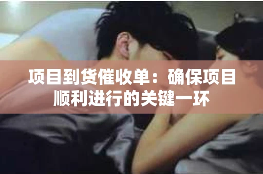 项目到货催收单：确保项目顺利进行的关键一环