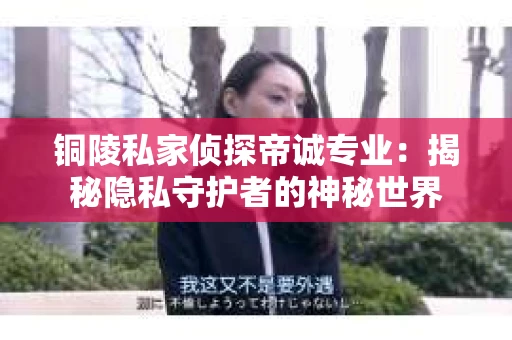 铜陵私家侦探帝诚专业：揭秘隐私守护者的神秘世界