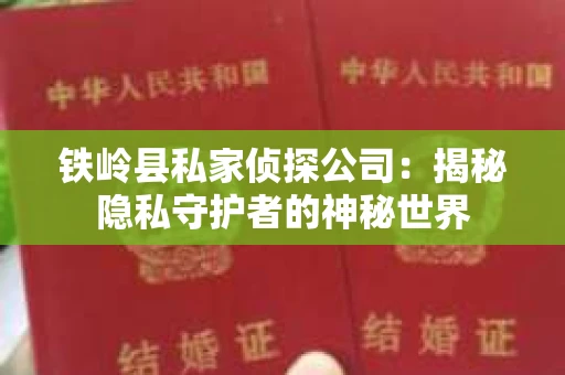 铁岭县私家侦探公司：揭秘隐私守护者的神秘世界