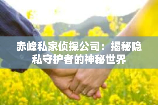赤峰私家侦探公司：揭秘隐私守护者的神秘世界