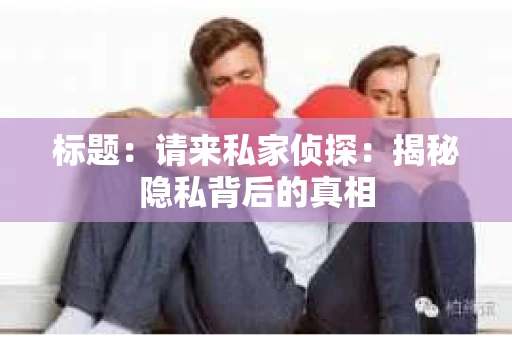 标题：请来私家侦探：揭秘隐私背后的真相