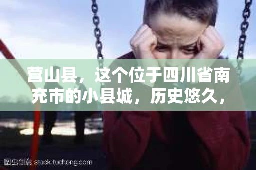 营山县，这个位于四川省南充市的小县城，历史悠久，风景秀丽。但在这个宁静的小县城里，你是否会好奇，有没有私家侦探的存在呢？今天，我就来和大家聊聊这个话题。