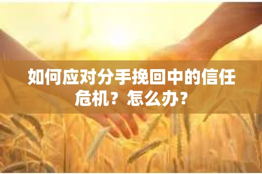 如何应对分手挽回中的信任危机？怎么办？