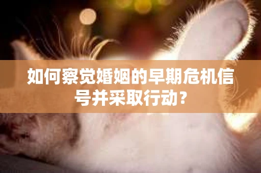 如何察觉婚姻的早期危机信号并采取行动？