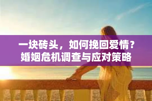 一块砖头，如何挽回爱情？婚姻危机调查与应对策略