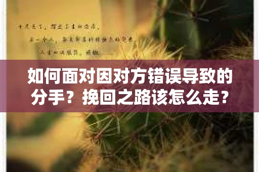 如何面对因对方错误导致的分手?挽回之路该怎么走? 如何面对因对方错误导致的分手?挽回之路该怎么走?