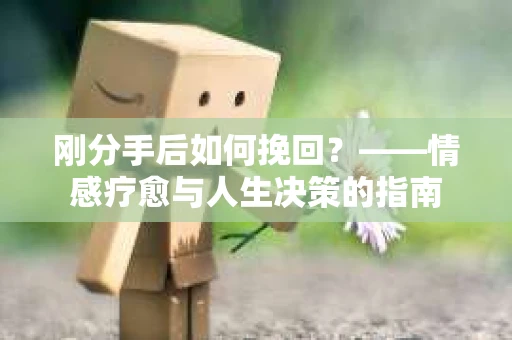 刚分手后如何挽回？——情感疗愈与人生决策的指南