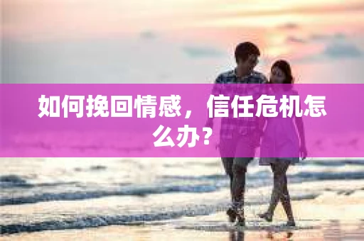 如何挽回情感,信任危机怎么办? 如何挽回情感,信任危机怎么办?